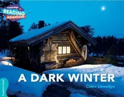 Un inverno buio Banda turchese - A Dark Winter Turquoise Band