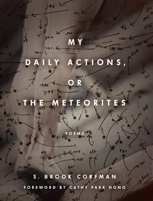 Le mie azioni quotidiane, o le meteoriti - My Daily Actions, or the Meteorites