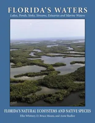 Le acque della Florida - Florida's Waters