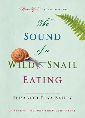Il suono di una lumaca selvatica che mangia - The Sound of a Wild Snail Eating