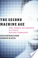 La seconda età delle macchine: lavoro, progresso e prosperità in un'epoca di tecnologie brillanti - The Second Machine Age: Work, Progress, and Prosperity in a Time of Brilliant Technologies