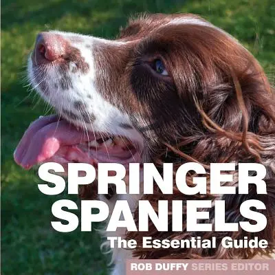 Springer Spaniel: La guida essenziale - Springer Spaniels: The Essential Guide