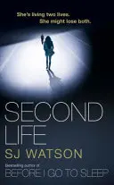Seconda vita - Second Life