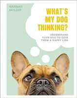 Cosa pensa il mio cane? - Capire il proprio cane per dargli una vita felice - What's My Dog Thinking? - Understand Your Dog to Give Them a Happy Life