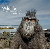 Fotografo naturalista dell'anno: Portafoglio 28 - Wildlife Photographer of the Year: Portfolio 28