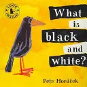Cos'è il bianco e il nero? - What Is Black and White?