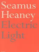 Luce elettrica - Electric Light