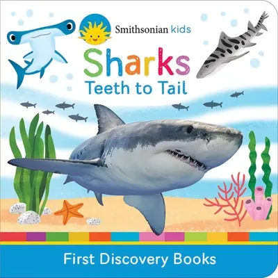Squali: Dai denti alla coda - Sharks: Teeth to Tail