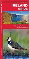 Uccelli d'Irlanda, 2a edizione - Guida tascabile pieghevole alle specie più conosciute - Ireland Birds, 2nd Edition - A Folding Pocket Guide to Familiar Species