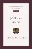 Gioele e Amos - Introduzione e commento (Hadjiev Dr Tchavdar (Autore)) - Joel and Amos - An Introduction And Commentary (Hadjiev Dr Tchavdar (Author))