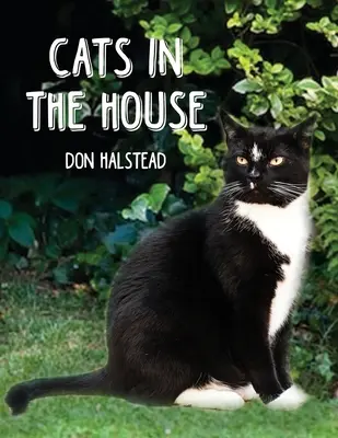 Gatti in casa - Cats in the House