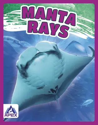 Mante - Manta Rays