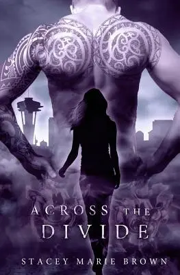 Attraverso il divario - Across the Divide
