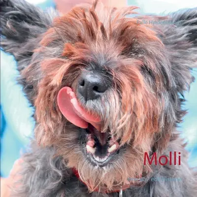 Molli: la mia storia - Molli: min vovede historie