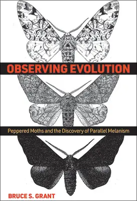 Osservare l'evoluzione: Le falene pezzate e la scoperta del melanismo parallelo - Observing Evolution: Peppered Moths and the Discovery of Parallel Melanism
