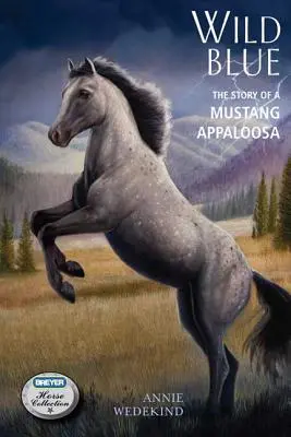 Blu selvaggio: La storia di un Mustang Appaloosa - Wild Blue: The Story of a Mustang Appaloosa