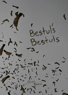 I Bestul di Bestul - Bestul's Bestuls