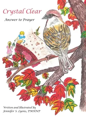 Crystal Clear: risposta alle preghiere - Crystal Clear: Answer to Prayer