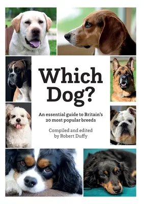 Quale cane - Which Dog