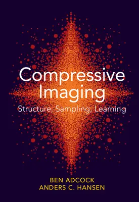 Imaging compressivo: Struttura, campionamento, apprendimento - Compressive Imaging: Structure, Sampling, Learning