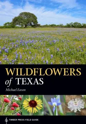 Fiori selvatici del Texas - Wildflowers of Texas