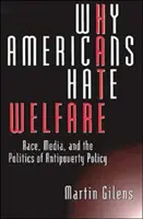 Perché gli americani odiano il welfare: Razza, media e politiche di lotta alla povertà - Why Americans Hate Welfare: Race, Media, and the Politics of Antipoverty Policy