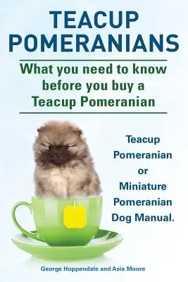 Pomerania Teacup. Manuale del cane Pomerania in miniatura o Teacup Pomerania. Cosa c'è da sapere prima di acquistare un Teacup Pomeranian. - Teacup Pomeranians. Miniature Pomeranian or Teacup Pomeranian Dog Manual. What You Need to Know Before You Buy a Teacup Pomeranian.