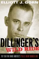 La cavalcata selvaggia di Dillinger: l'anno che ha reso il nemico pubblico numero uno d'America - Dillinger's Wild Ride: The Year That Made America's Public Enemy Number One