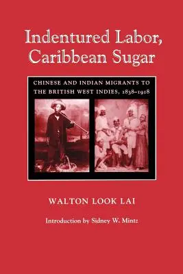 Lavoro indigente, zucchero dei Caraibi: Migranti cinesi e indiani nelle Indie occidentali britanniche, 1838-1918 - Indentured Labor, Caribbean Sugar: Chinese and Indian Migrants to the British West Indies, 1838-1918
