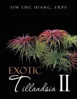 Tillandsia esotica II - Exotic Tillandsia II