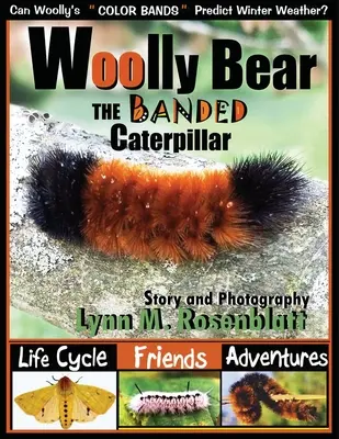 Orso lanoso il bruco fasciato: Ciclo di vita, amici e avventure - Woolly Bear the Banded Caterpillar: Life Cycle, Friends and Adventures