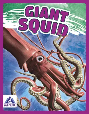 Calamari giganti - Giant Squid