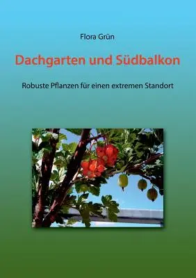 Dachgarten und Sdbalkon: Piante robuste per un ambiente estremo - Dachgarten und Sdbalkon: Robuste Pflanzen fr einen extremen Standort