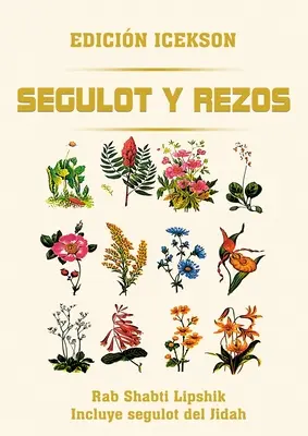 Segulot e Rezos - Segulot y Rezos