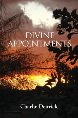 Appuntamenti divini - Divine Appointments