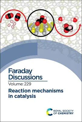 Meccanismi di reazione nella catalisi: Discussione su Faraday 229 - Reaction Mechanisms in Catalysis: Faraday Discussion 229