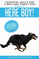Qui ragazzo! Passo dopo passo per un richiamo straordinario del vostro brillante cane di famiglia - Here Boy!: Step-by-Step to a Stunning Recall from your Brilliant Family Dog