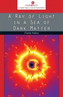 Un raggio di luce in un mare di materia oscura - A Ray of Light in a Sea of Dark Matter