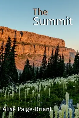 Il vertice - The Summit