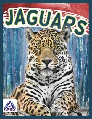 Giaguari - Jaguars