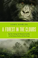 Un bosco tra le nuvole - A Forest in the Clouds