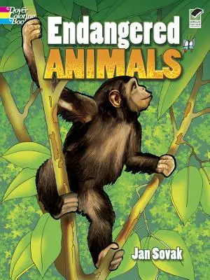 Libro da colorare sugli animali in via di estinzione - Endangered Animals Coloring Book