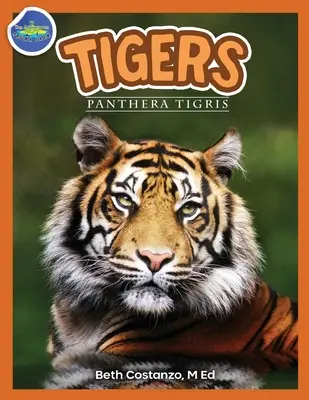 Tigri, Panthera Tigris età 2-4 anni - Tigers, Panthera Tigris ages 2-4
