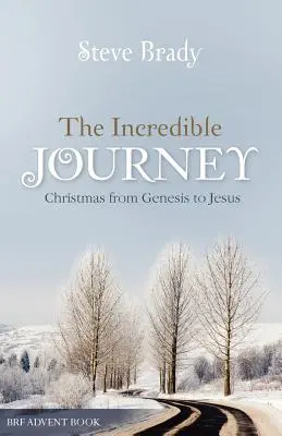 L'incredibile viaggio - The Incredible Journey
