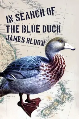Alla ricerca dell'anatra blu - In Search of the Blue Duck