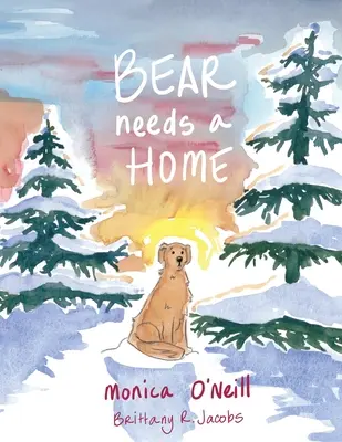 L'orso ha bisogno di una casa - Bear Needs A Home