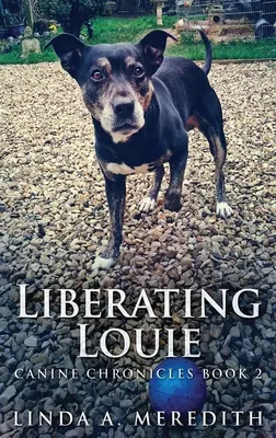 Liberare Louie: La strada per Rutland - Liberating Louie: The Road To Rutland