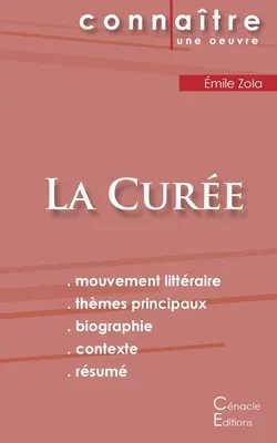 La Cure di mile Zola (analisi letteraria e riassunto completo) - Fiche de lecture La Cure de mile Zola (Analyse littraire de rfrence et rsum complet)
