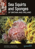 Spugne e spugne di mare della Gran Bretagna e dell'Irlanda - Sea Squirts and Sea Sponges of Britain and Ireland