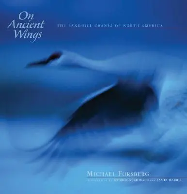 Sulle ali antiche: Le gru del Nord America - On Ancient Wings: The Sandhill Cranes of North America